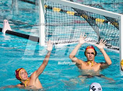 Thumbnail 3 in Redwood vs. Woodrow Wilson photogallery.