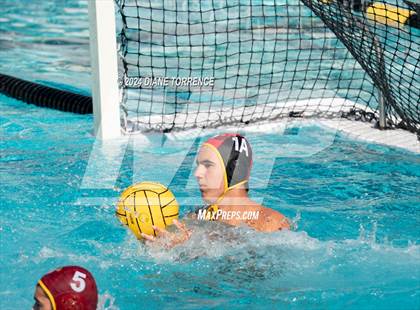 Thumbnail 1 in Redwood vs. Woodrow Wilson photogallery.