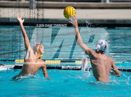 Thumbnail 3 in Redwood vs. Woodrow Wilson photogallery.