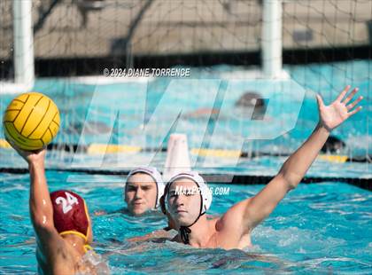 Thumbnail 3 in Redwood vs. Woodrow Wilson photogallery.