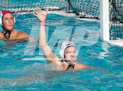 Thumbnail 3 in Redwood vs. Woodrow Wilson photogallery.
