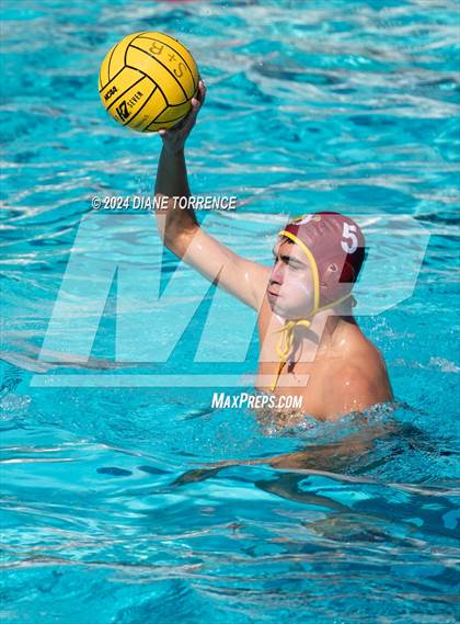 Thumbnail 2 in Redwood vs. Woodrow Wilson photogallery.