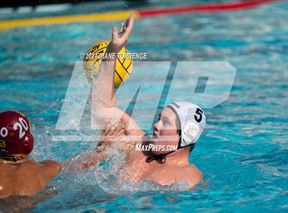 Thumbnail 1 in Redwood vs. Woodrow Wilson photogallery.