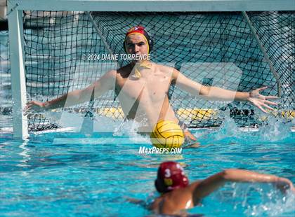 Thumbnail 2 in Redwood vs. Woodrow Wilson photogallery.