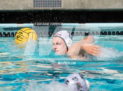 Thumbnail 1 in Redwood vs. Woodrow Wilson photogallery.