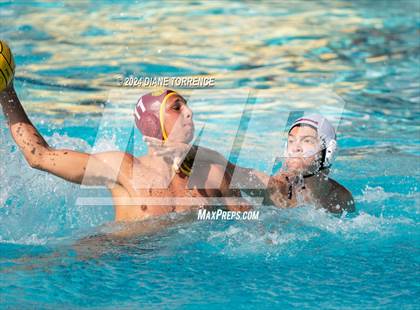 Thumbnail 3 in Redwood vs. Woodrow Wilson photogallery.