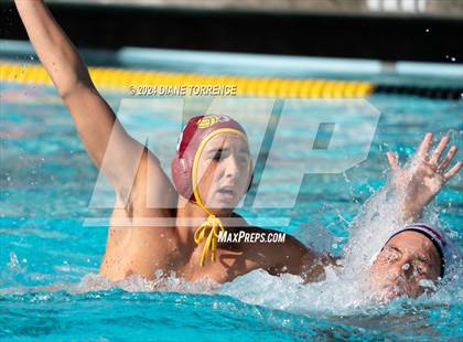 Thumbnail 2 in Redwood vs. Woodrow Wilson photogallery.