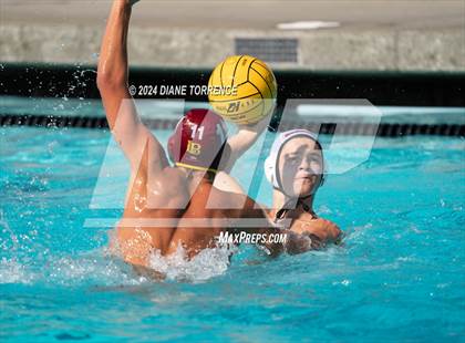Thumbnail 2 in Redwood vs. Woodrow Wilson photogallery.