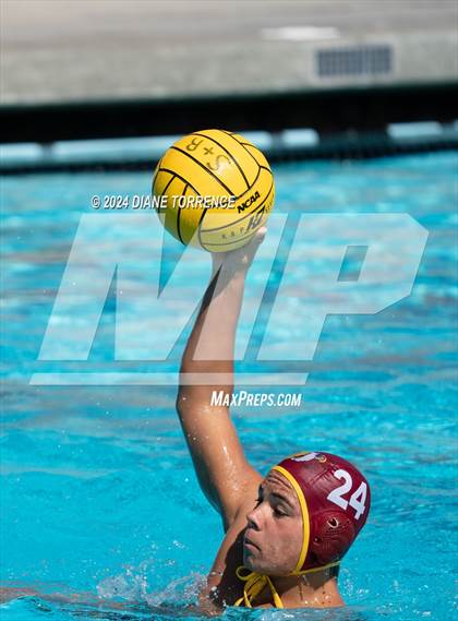 Thumbnail 2 in Redwood vs. Woodrow Wilson photogallery.