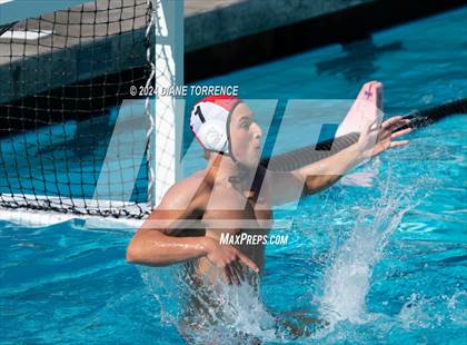 Thumbnail 2 in Redwood vs. Woodrow Wilson photogallery.