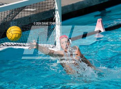 Thumbnail 3 in Redwood vs. Woodrow Wilson photogallery.