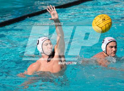 Thumbnail 2 in Redwood vs. Woodrow Wilson photogallery.