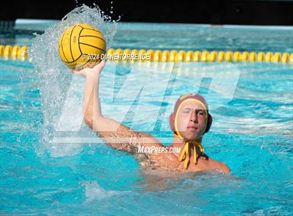 Thumbnail 3 in Redwood vs. Woodrow Wilson photogallery.