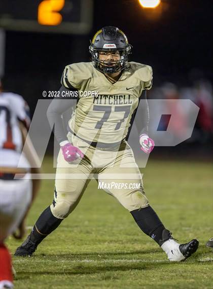 Thumbnail 3 in Springstead @ Mitchell photogallery.