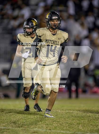 Thumbnail 1 in Springstead @ Mitchell photogallery.