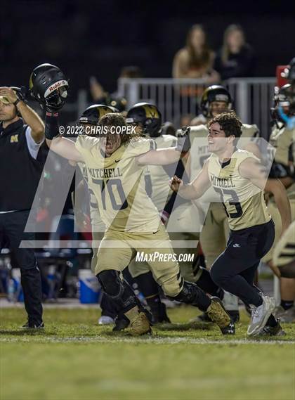 Thumbnail 3 in Springstead @ Mitchell photogallery.