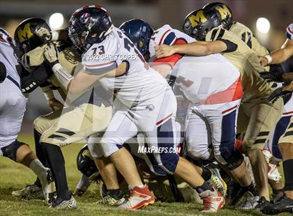Thumbnail 1 in Springstead @ Mitchell photogallery.