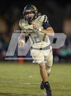 Photo from the gallery "Springstead @ Mitchell"
