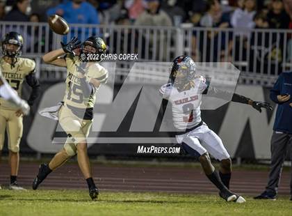 Thumbnail 2 in Springstead @ Mitchell photogallery.