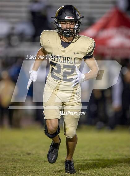 Thumbnail 2 in Springstead @ Mitchell photogallery.