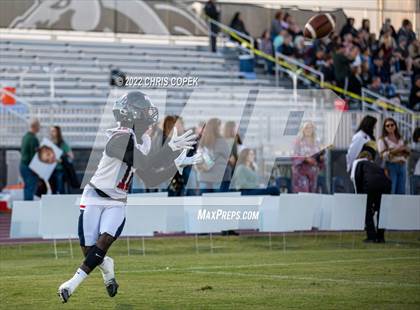 Thumbnail 2 in Springstead @ Mitchell photogallery.