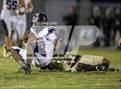 Photo from the gallery "Springstead @ Mitchell"