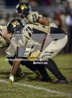 Photo from the gallery "Springstead @ Mitchell"