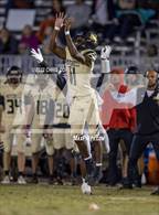 Photo from the gallery "Springstead @ Mitchell"