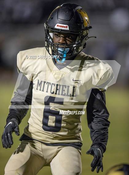 Thumbnail 3 in Springstead @ Mitchell photogallery.