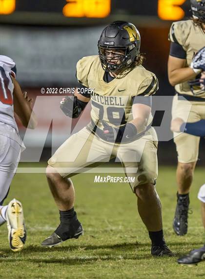 Thumbnail 3 in Springstead @ Mitchell photogallery.