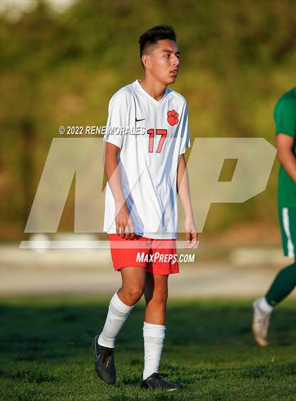 Thumbnail 2 in Lincoln vs Eagle Rock photogallery.