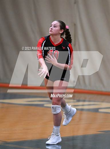 null - Photo 01