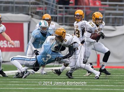 Thumbnail 1 in Archbishop Alter vs. Benedictine (OHSAA Division IV Final) photogallery.