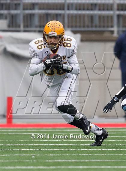Thumbnail 3 in Archbishop Alter vs. Benedictine (OHSAA Division IV Final) photogallery.