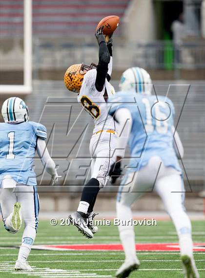 Thumbnail 1 in Archbishop Alter vs. Benedictine (OHSAA Division IV Final) photogallery.