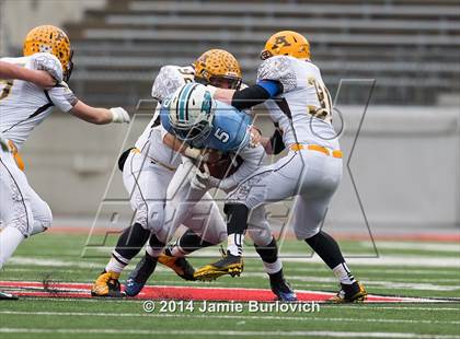 Thumbnail 3 in Archbishop Alter vs. Benedictine (OHSAA Division IV Final) photogallery.
