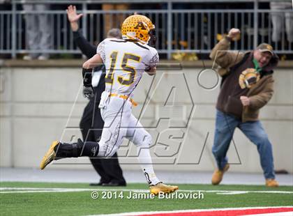 Thumbnail 1 in Archbishop Alter vs. Benedictine (OHSAA Division IV Final) photogallery.