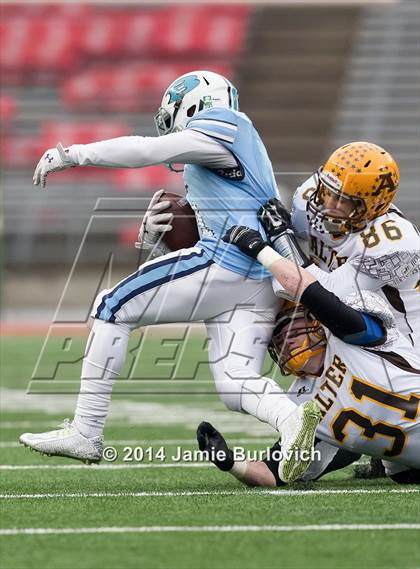 Thumbnail 1 in Archbishop Alter vs. Benedictine (OHSAA Division IV Final) photogallery.