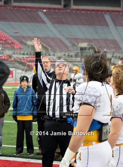 Thumbnail 2 in Archbishop Alter vs. Benedictine (OHSAA Division IV Final) photogallery.