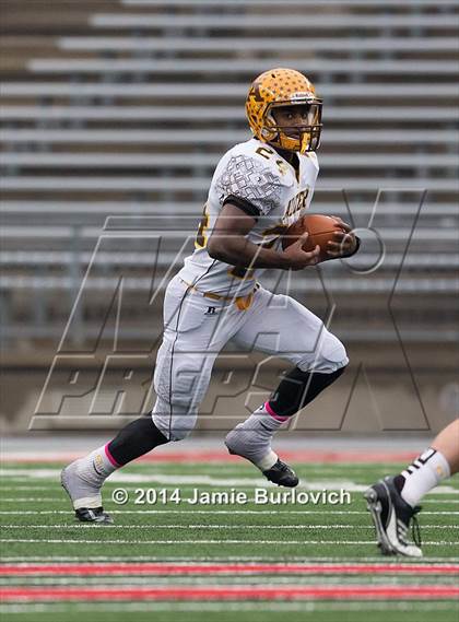 Thumbnail 3 in Archbishop Alter vs. Benedictine (OHSAA Division IV Final) photogallery.