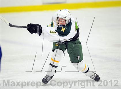 Thumbnail 1 in West Haven @ Trinity Catholic photogallery.