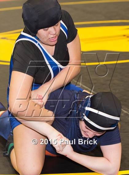 Thumbnail 1 in UIL State Wrestling Champiuonships  photogallery.