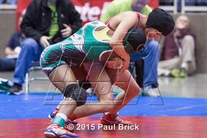 Thumbnail 2 in UIL State Wrestling Champiuonships  photogallery.