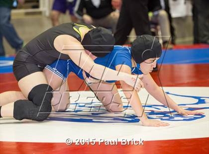 Thumbnail 1 in UIL State Wrestling Champiuonships  photogallery.
