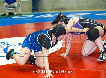 Thumbnail 1 in UIL State Wrestling Champiuonships  photogallery.