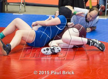 Thumbnail 2 in UIL State Wrestling Champiuonships  photogallery.