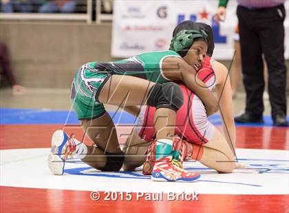 Thumbnail 1 in UIL State Wrestling Champiuonships  photogallery.