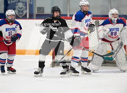 Thumbnail 1 in North Haven/Amity/Cheshire @ West Haven/SHA photogallery.
