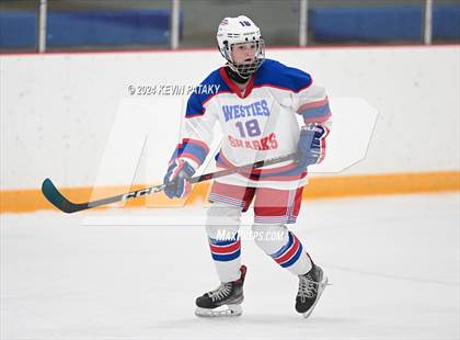 Thumbnail 1 in North Haven/Amity/Cheshire @ West Haven/SHA photogallery.