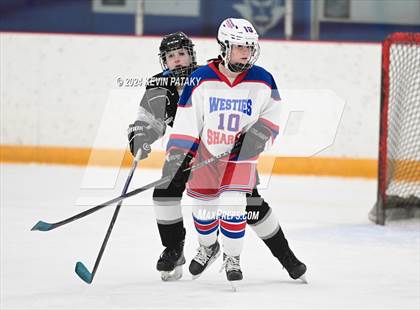 Thumbnail 1 in North Haven/Amity/Cheshire @ West Haven/SHA photogallery.